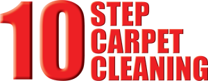 Modern Carpet Cleaning's 10 Step Process