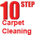 10stepcarpetcleaning