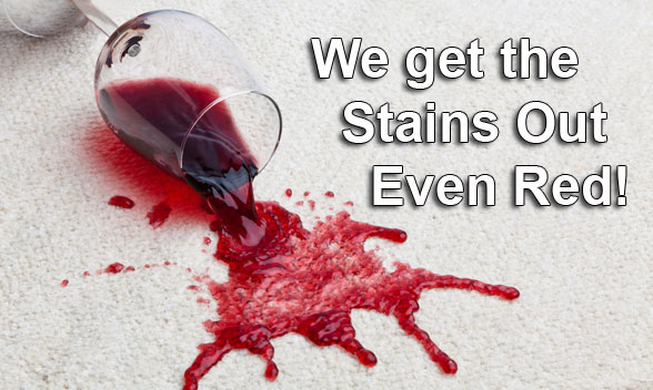 Modern Carpet Cleaning – Your stain removal experts.